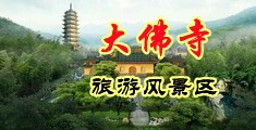 浮力深夜跳转中国浙江-新昌大佛寺旅游风景区